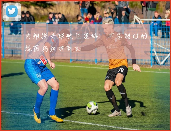 内维斯头球破门集锦:不容错过的绿茵场经典时刻